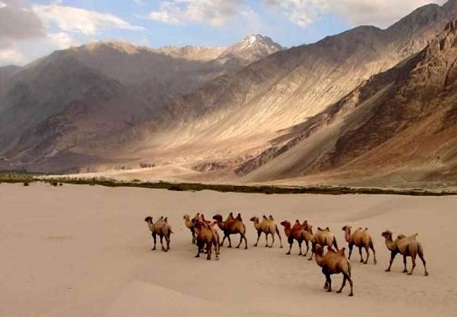 Best Leh Ladakh Tour